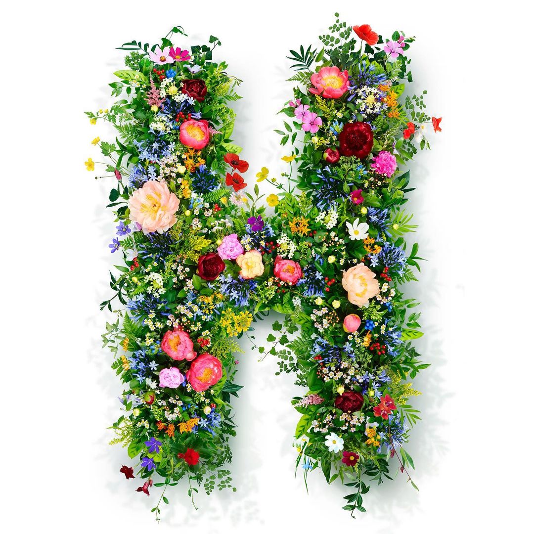 Floral letter H. Vibrant flowers and lush greenery form the shape of the letter H against a clean white backdrop.