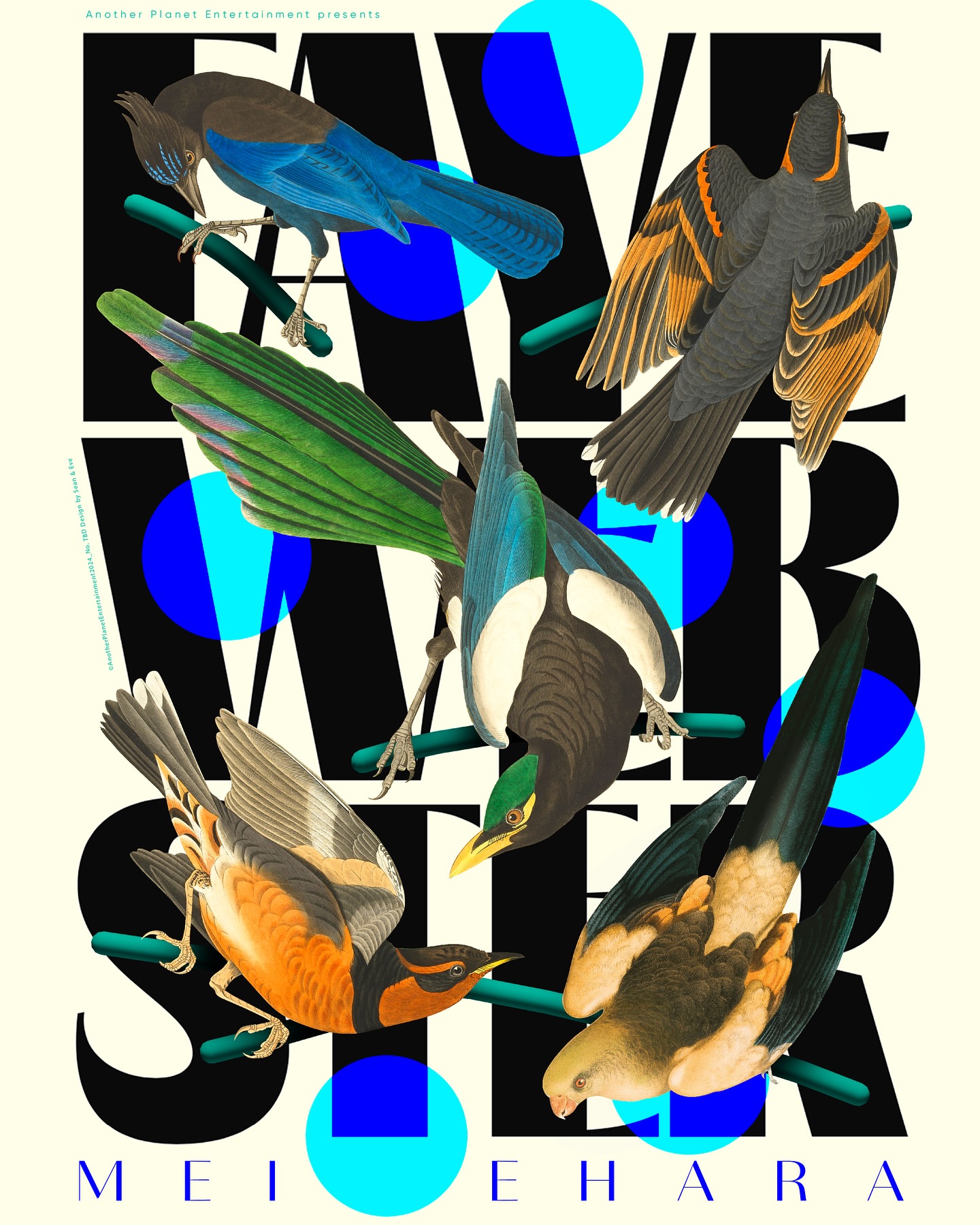 Illustration featuring a group of birds perched on branches amidst bold graphic typography in black and blue on a cream background.