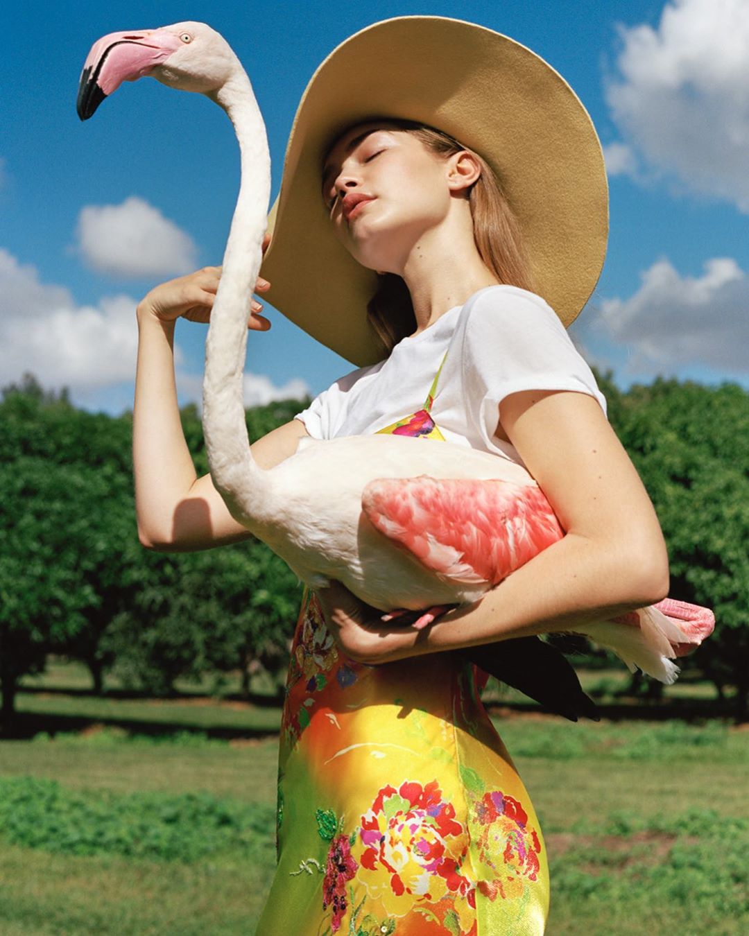 Blonde woman in a hat embraces a flamingo outdoors with sunny skies and grassy fields.
