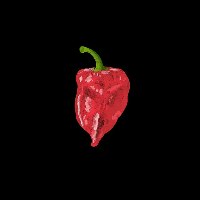 Illustration of a single, vibrant red habanero pepper with a green stem, set against a stark black background, using art techniques.