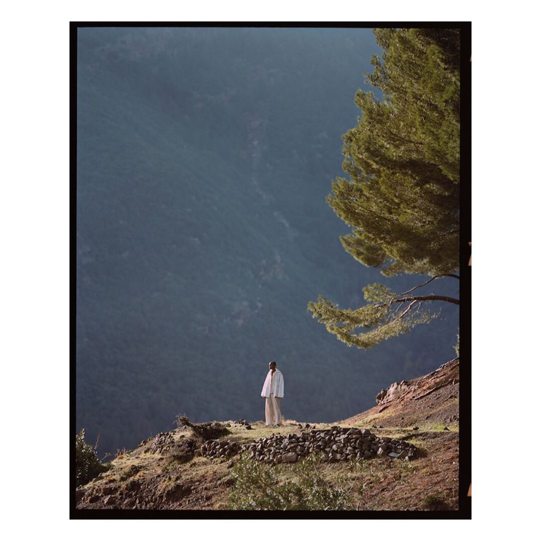 Lone figure standing on a grassy hillside near a large pine tree, overlooking a valley with distant mountains in the background.