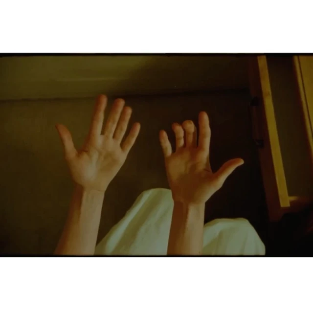 Close-up shot of raised human hands with light skin in an indoor setting. One hand displays the 'hang loose' sign.
