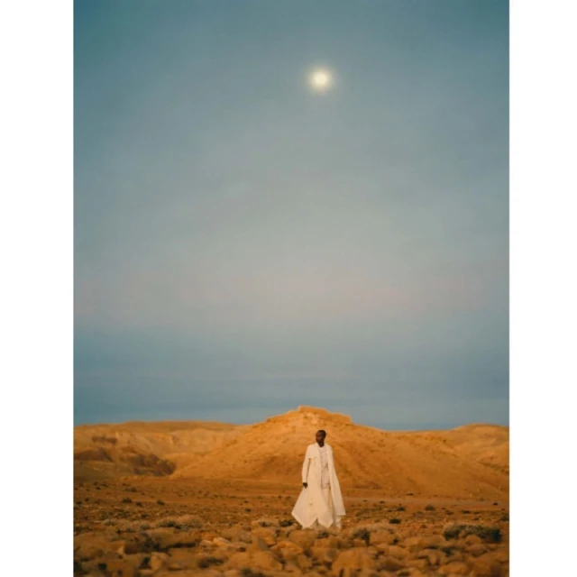 A single Black adult stands in a light-colored coat in a desert landscape under a bright sky with a bright light source above.