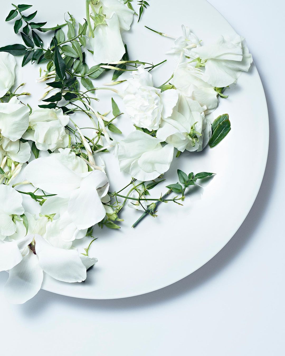 Overhead view of a white plate filled with white flowers and green leaves on a white background, creating a clean and floral aesthetic.
