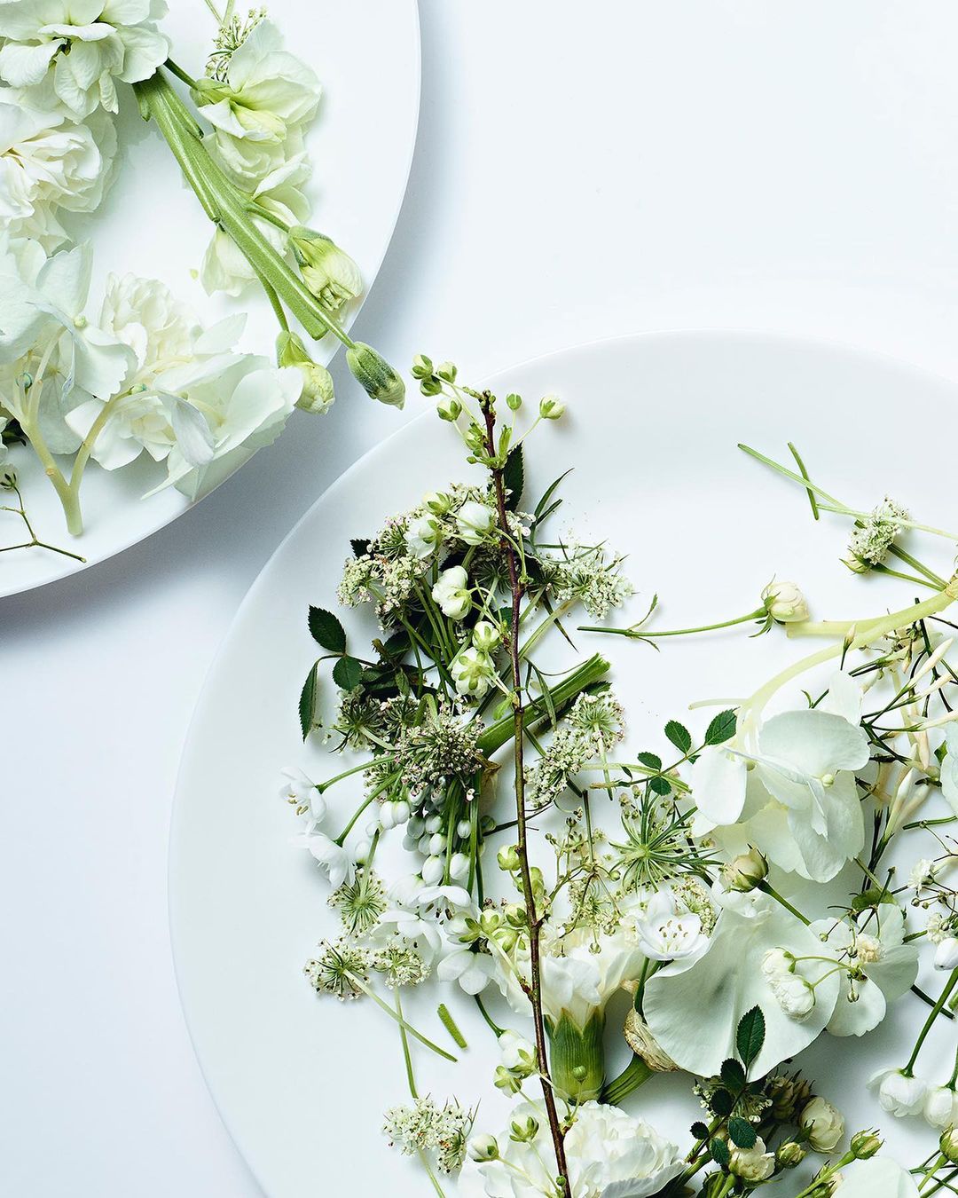 Overhead shot of two white plates, each adorned with a delicate arrangement of white flowers and green foliage on a white background.