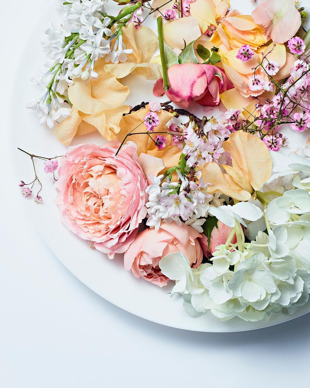 Overhead shot of white plate covered with pastel roses, lilacs, hydrangea, and petals in a soft, elegant floral arrangement.
