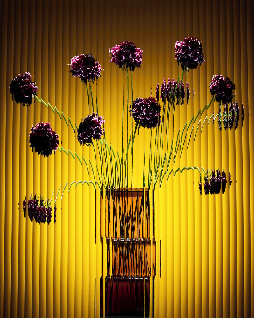 A vase filled with dark purple allium flowers stands against a bright yellow background of vertical lines in a studio still life.