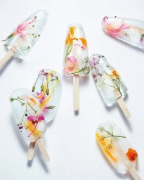 Several clear ice popsicles containing colorful flowers and herbs arranged flat against a bright white background