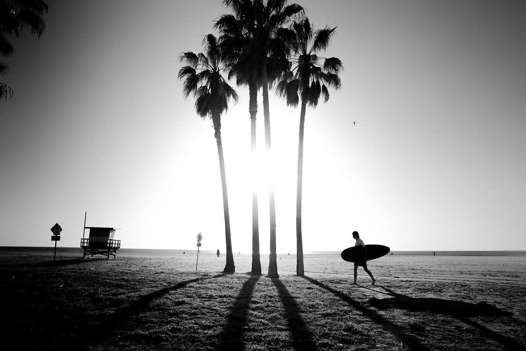 Black and white image of a person walking on a beach with a surfboard, framed by palm trees, a lifeguard station, and clear sky.