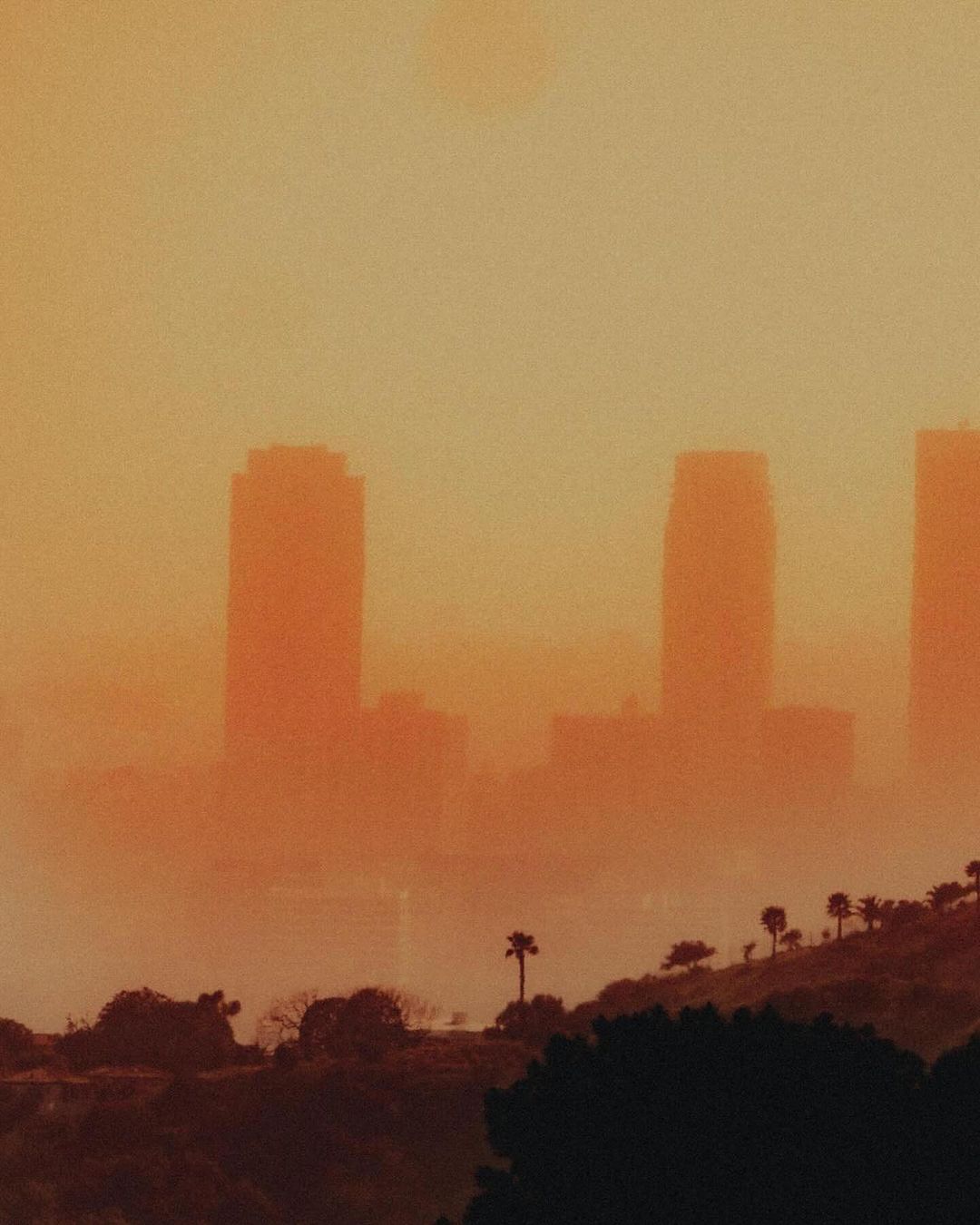 Cityscape featuring a skyline with tall buildings shrouded in heavy golden fog at sunset, and silhouetted trees on hillside in the foreground.