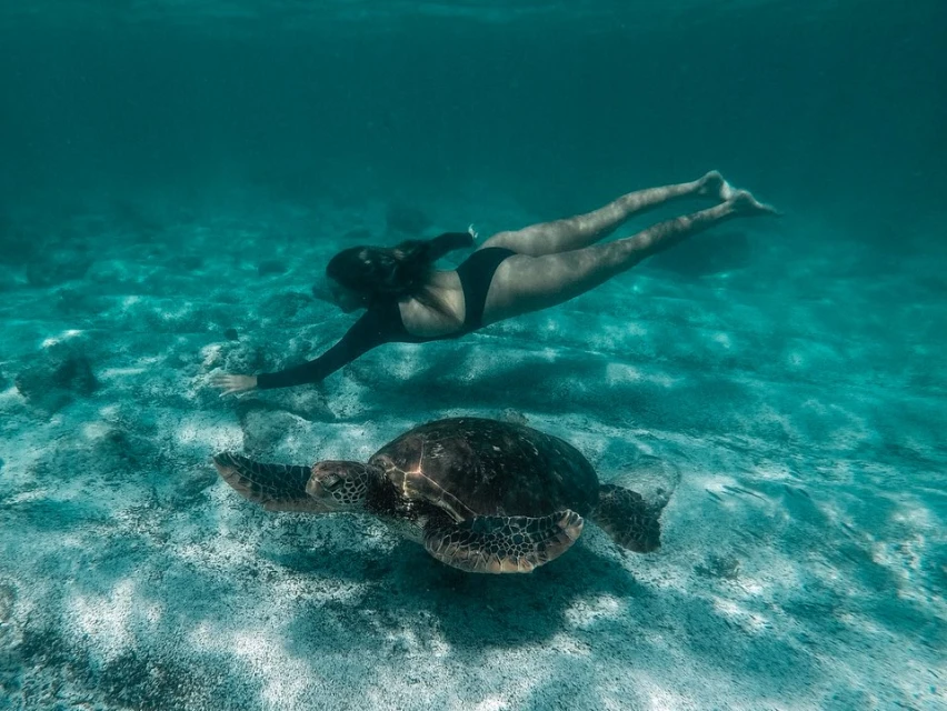 Underwater scene of a woman in a black wetsuit swimming alongside a large sea turtle in clear turquoise water and sandy ocean floor.