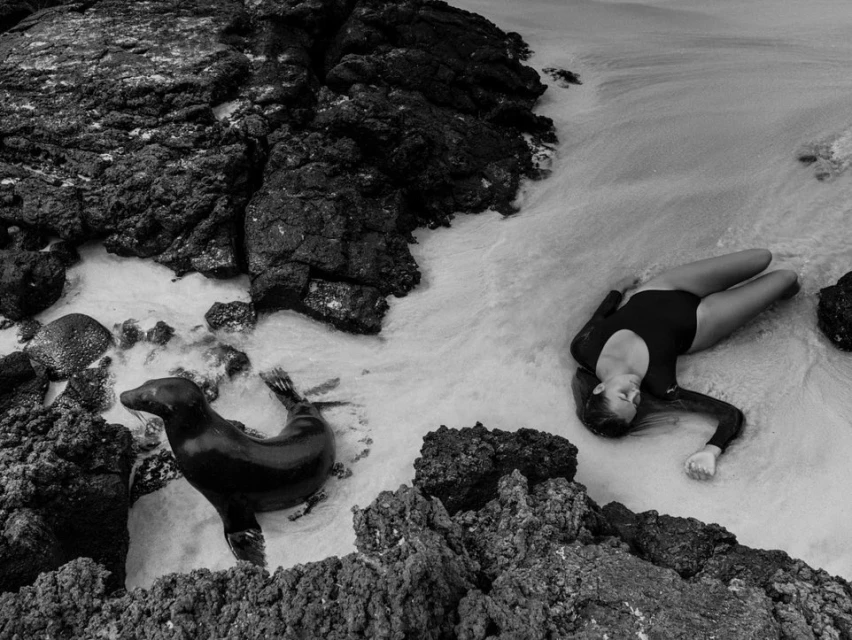 Black and white aerial shot of a woman in a swimsuit lying on a sandy beach next to a sea lion among dark, rocky formations.