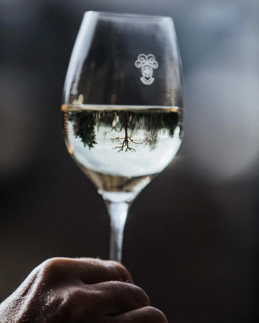 Close-up of a hand holding a wine glass with a reflection of trees and sky, set against a blurred, dark background.