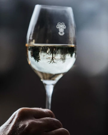 Close-up of a hand holding a wine glass with a reflection of trees and sky, set against a blurred, dark background.