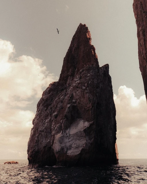 Coastal landscape features a large jagged rock formation in the ocean against a cloudy sky with a bird in flight above it.