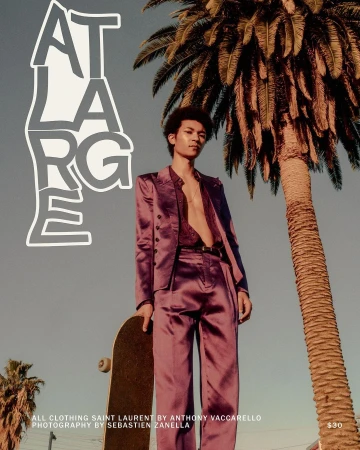 A man in a purple satin suit holding a skateboard stands under a palm tree in Paris, photographed by Sebastien Zanella.