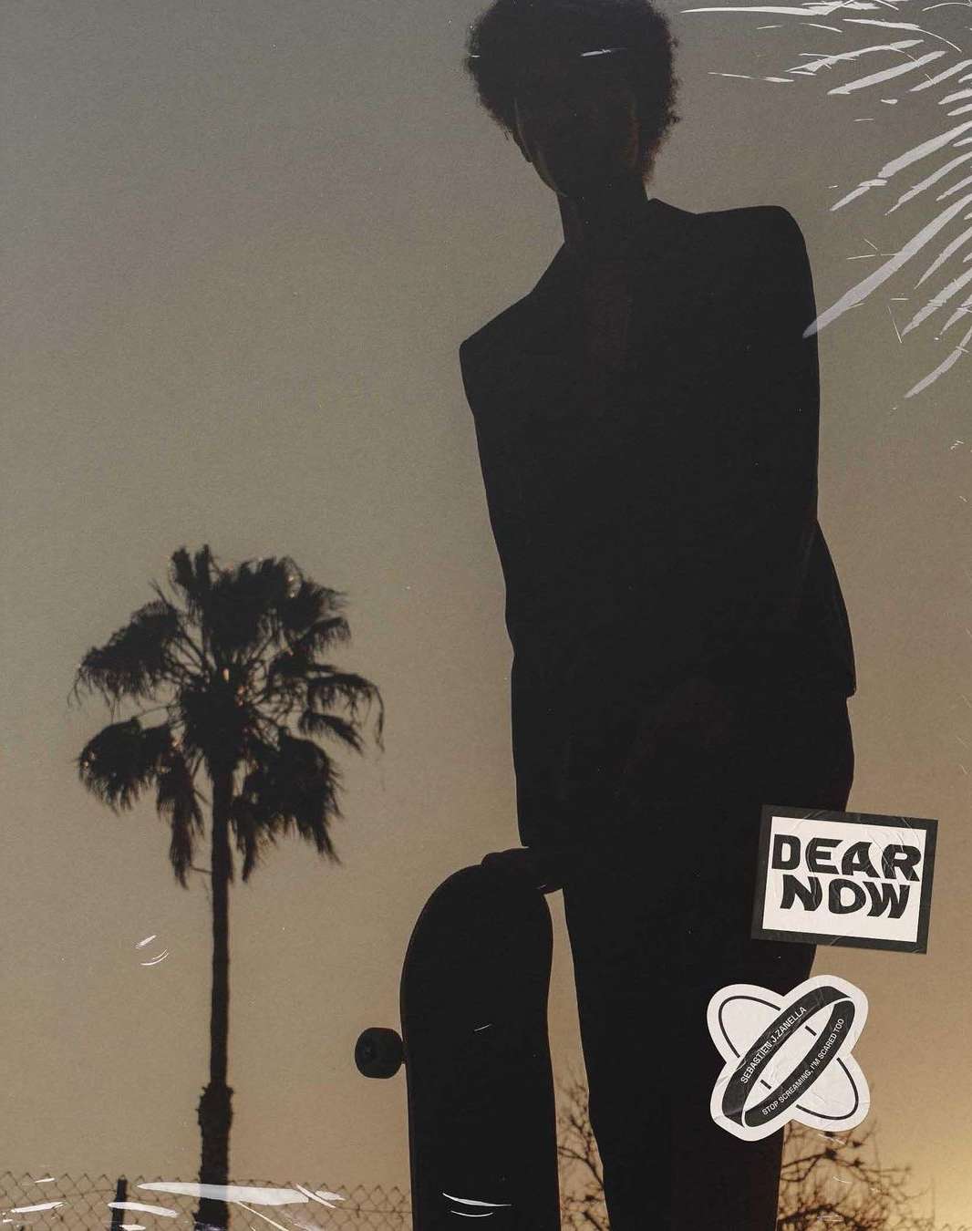 Silhouette of a man holding a skateboard standing outdoors with a palm tree against a sunset sky.