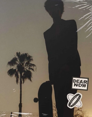 Silhouette of a man holding a skateboard standing outdoors with a palm tree against a sunset sky.