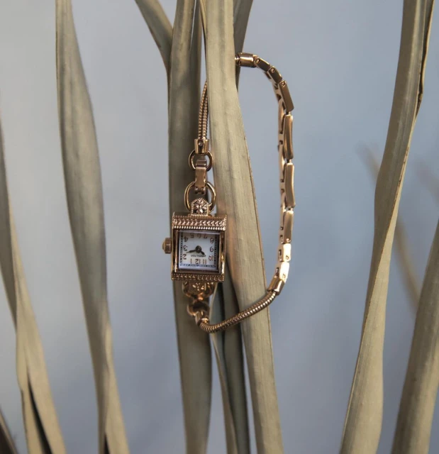 Close-up of a vintage square-faced gold wristwatch with a decorative band, nestled among tan, dried plant fronds, on pale blue background.