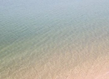 Clear shallow water ripples over a sandy bottom, showing sunlight patterns.