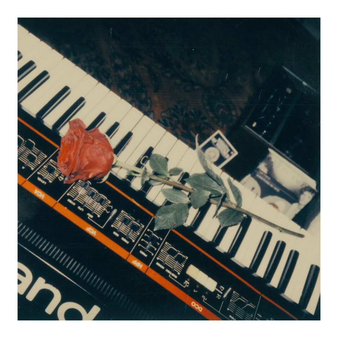 Close-up of a red rose lying on the keys of a Roland synthesizer, with dark patterned fabric visible in the background.