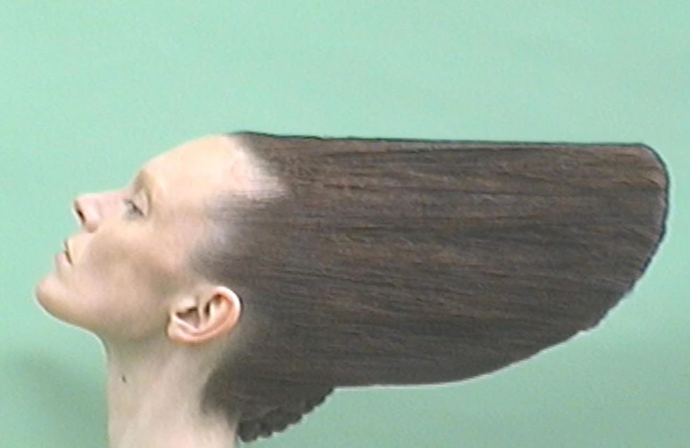 Profile view of a woman with a very wide, flat, dark-brown hairstyle against a solid pale-green backdrop, viewed at eye-level.