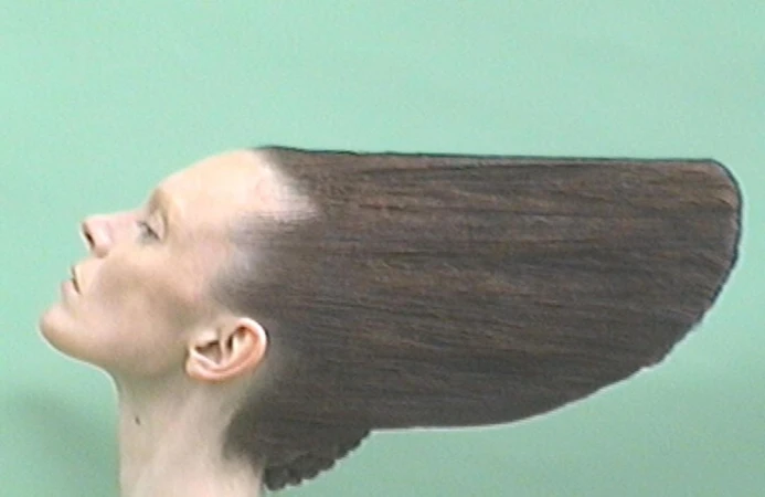Profile view of a woman with a very wide, flat, dark-brown hairstyle against a solid pale-green backdrop, viewed at eye-level.