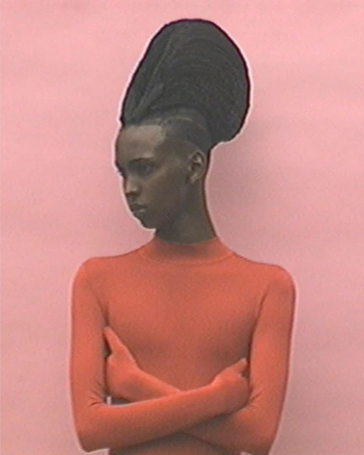 Portrait of a stylish adult female with tall, elaborate hairstyle and terracotta top against a light pink background, shot indoors.