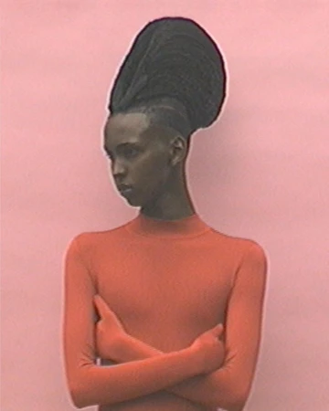Portrait of a stylish adult female with tall, elaborate hairstyle and terracotta top against a light pink background, shot indoors.