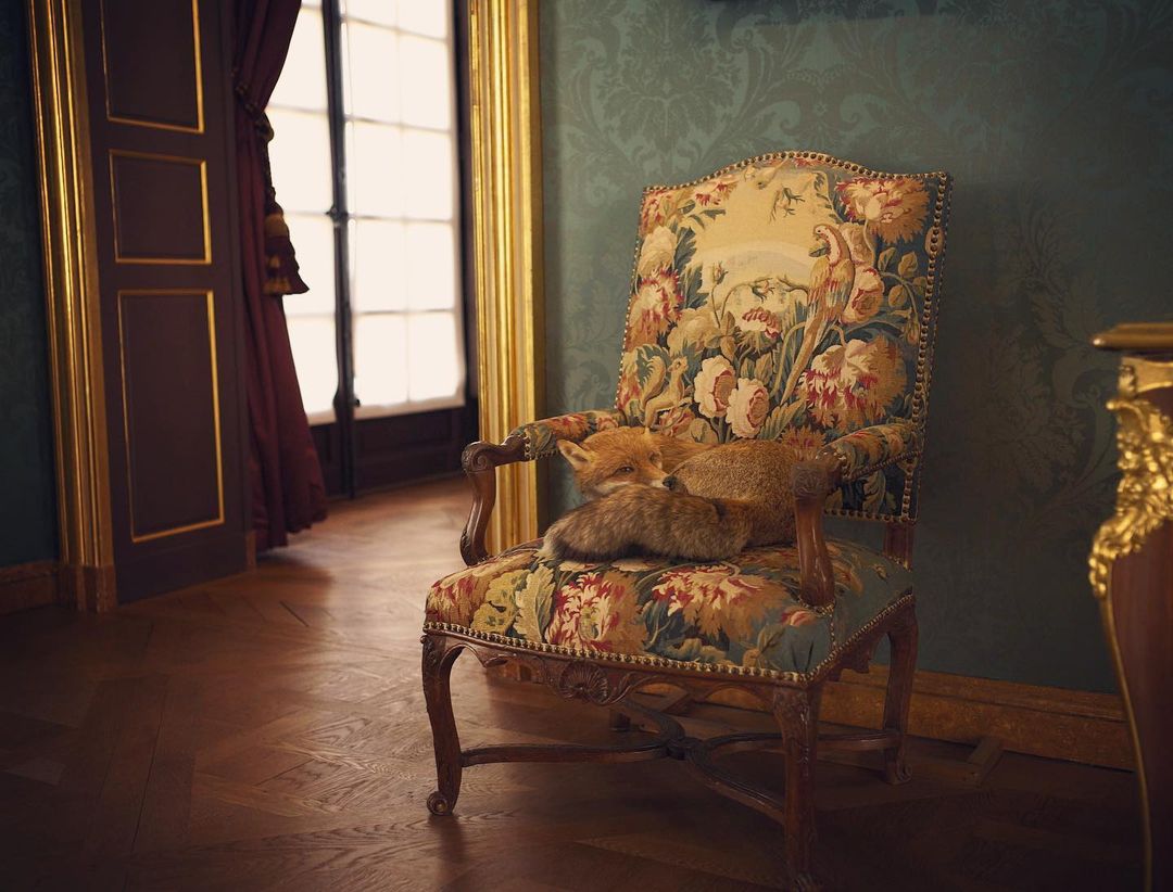 Two foxes sleep on a vintage floral chair inside a room with ornate architecture, featuring a dark green wall and parquet flooring.