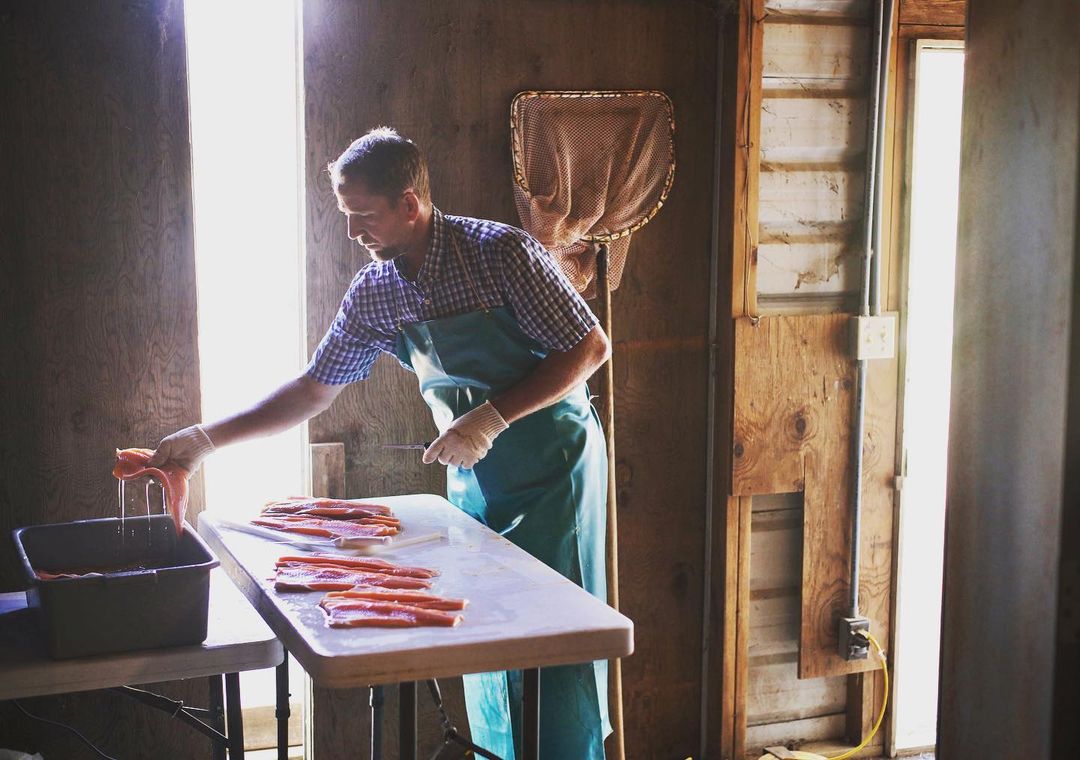 Adult male wearing an apron and gloves handling salmon fillets on a table indoors in a bright, rustic setting with wooden walls.