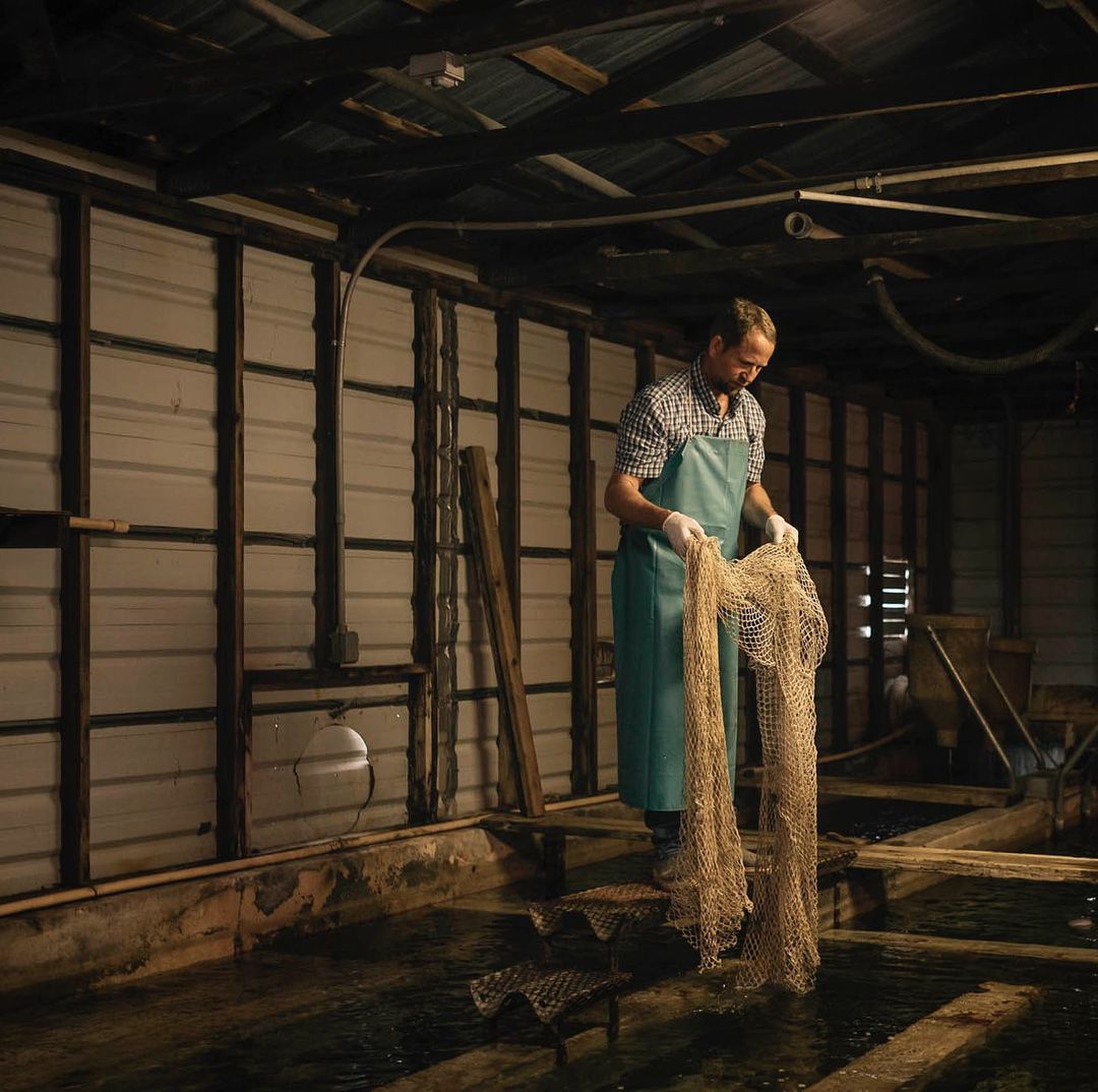 Man in an apron holds a fishing net while standing in a rustic indoor fish farm, with water tanks and worn wooden structures.