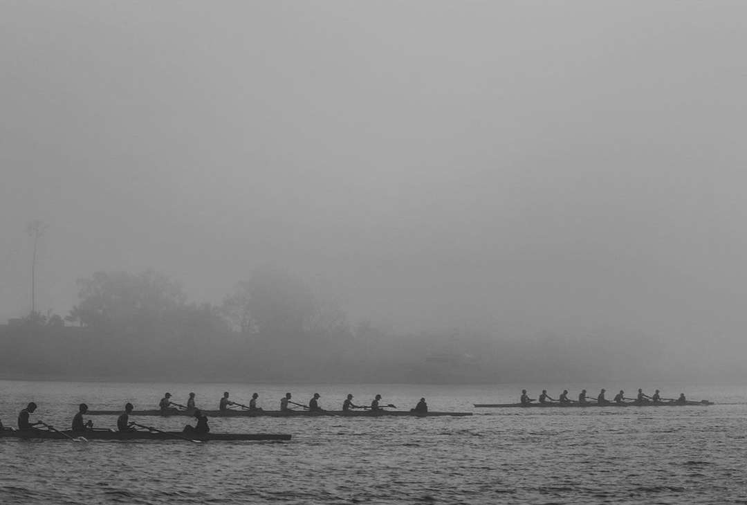 Rowing teams compete on a foggy river in a black and white photograph. Several boats with rowers are silhouetted against the mist.