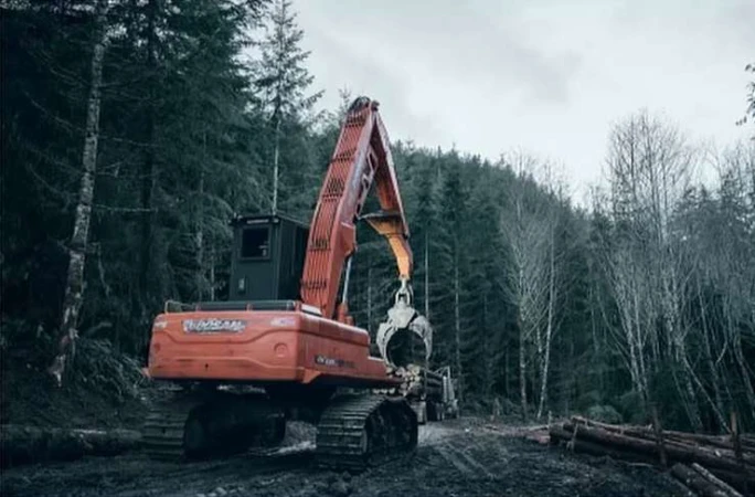 Heavy logging equipment in a dense forest clearing with cut logs visible. Overcast sky. Logging and deforestation scene.