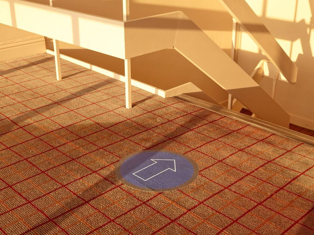Indoor shot of carpeted stairs with a directional arrow on the floor, lit by sunlight streaming in from a window. Interior shot.