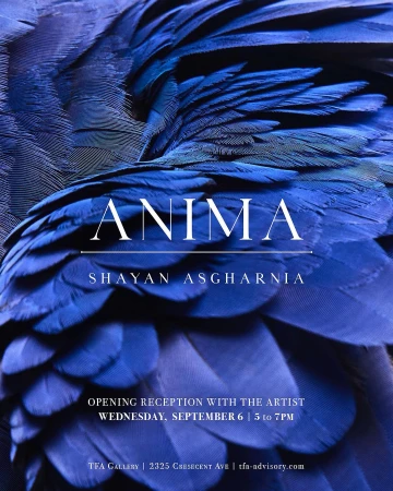Close-up of royal blue feathers with fine texture, overlaid with white text advertising an artist's opening reception for Anima.