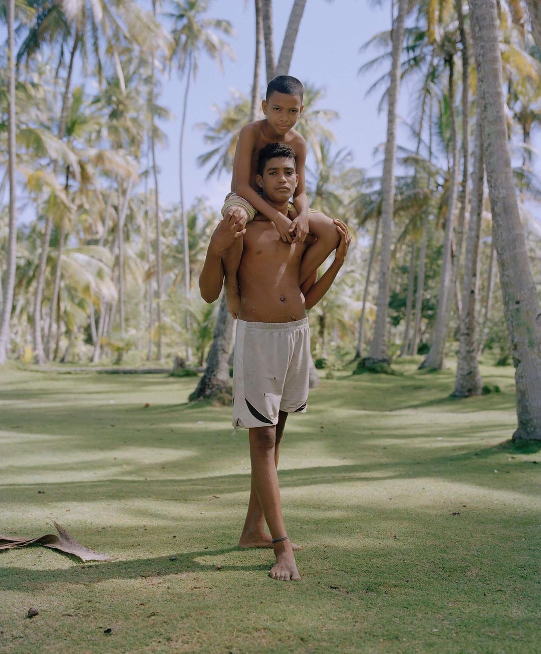 A father gives his son a shoulder ride on a grassy lawn surrounded by tall palm trees on a sunny day, creating a joyful scene.
