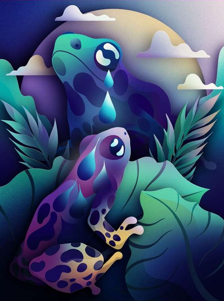 Illustration of two colorful frogs in a lush, moonlit setting with large leaves and stylized clouds, creating a whimsical and enchanting scene.