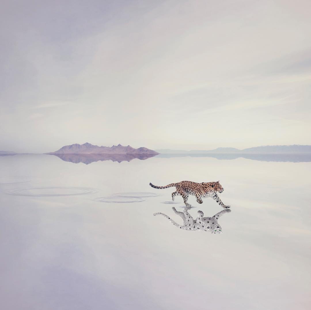 Leopard strides across a reflective salt flat mirroring a pastel sky, with distant mountains creating a surreal wildlife scene.
