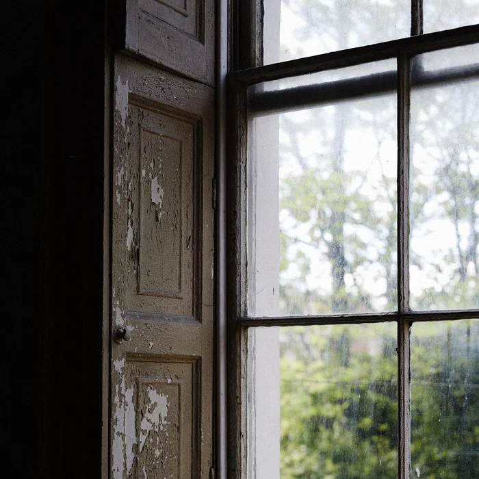 Distressed wooden window shutters and multi-pane window looking out onto green trees