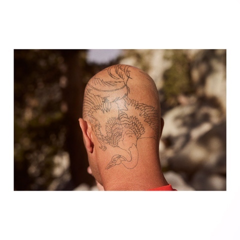 Close-up of a bald man's head with a crane tattoo on the back of his head, with a blurred natural background.