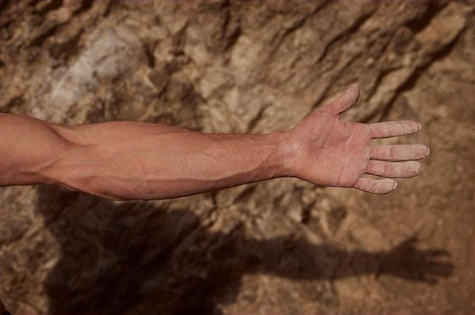 Close-up of a muscular adult arm and hand against a textured tan rock face, showcasing strength and athletic physique in natural light.