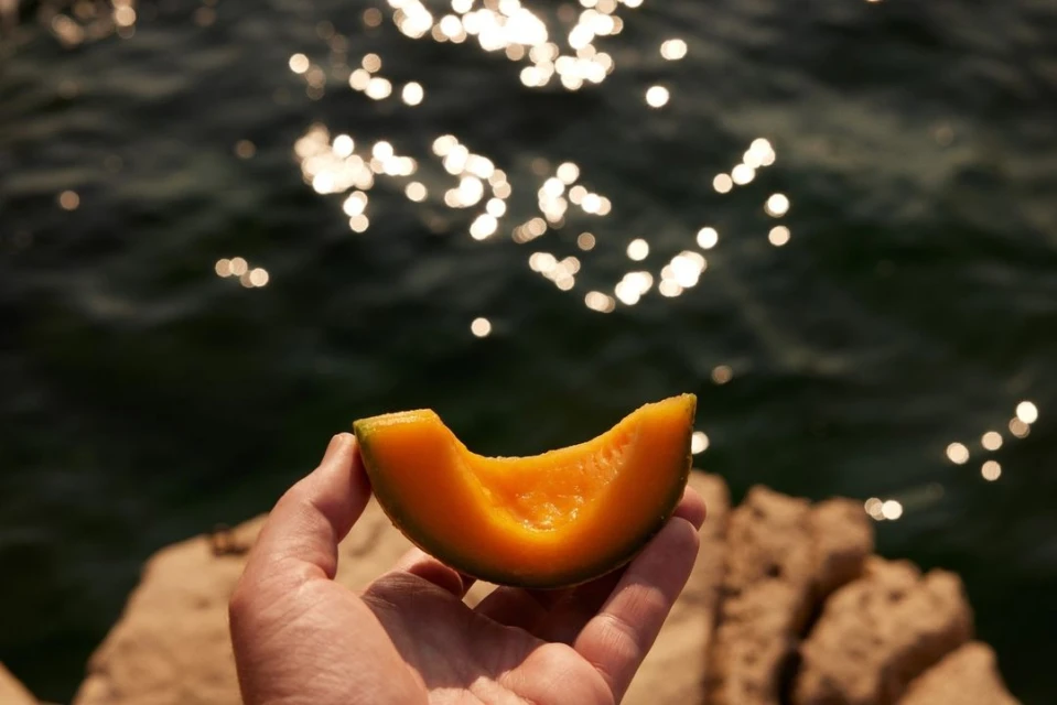 A person holds a cantaloupe slice by the ocean; the fruit is vivid orange, and the water glistens in the sunlight.