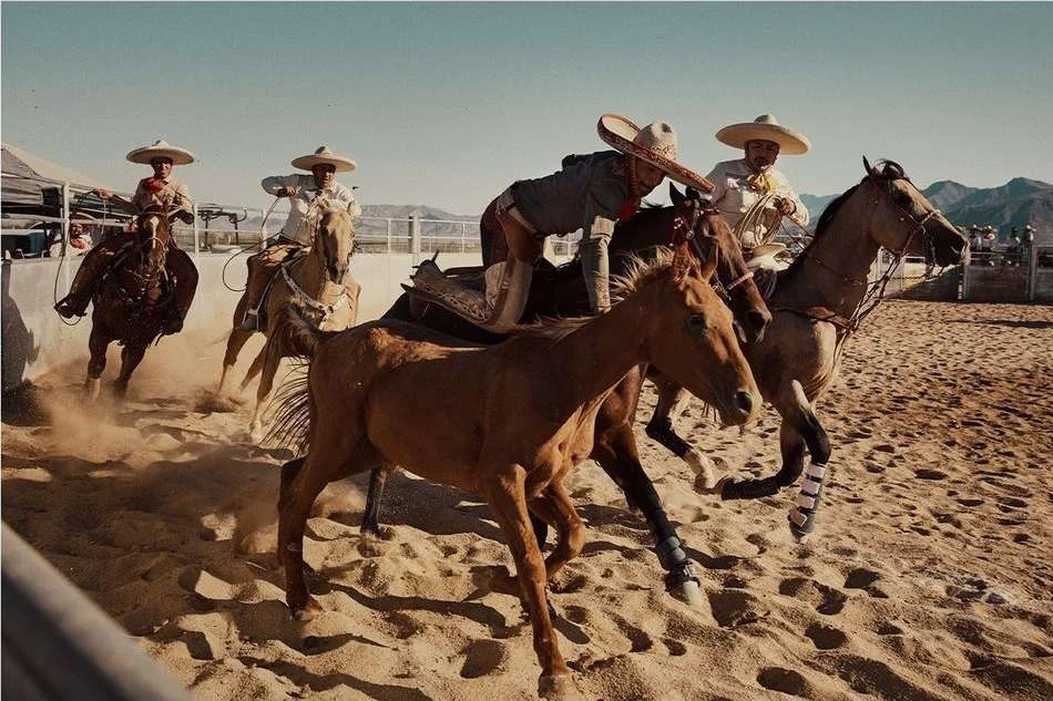 Four Charro riders on horseback in a sand arena under a clear sky, performing a horse-riding trick with one rider kneeling on horse's back.