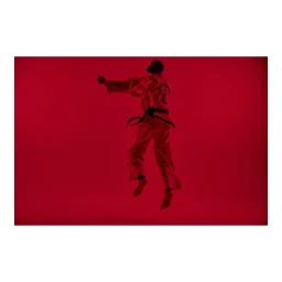 Martial artist performing a mid-air leap against a solid red background