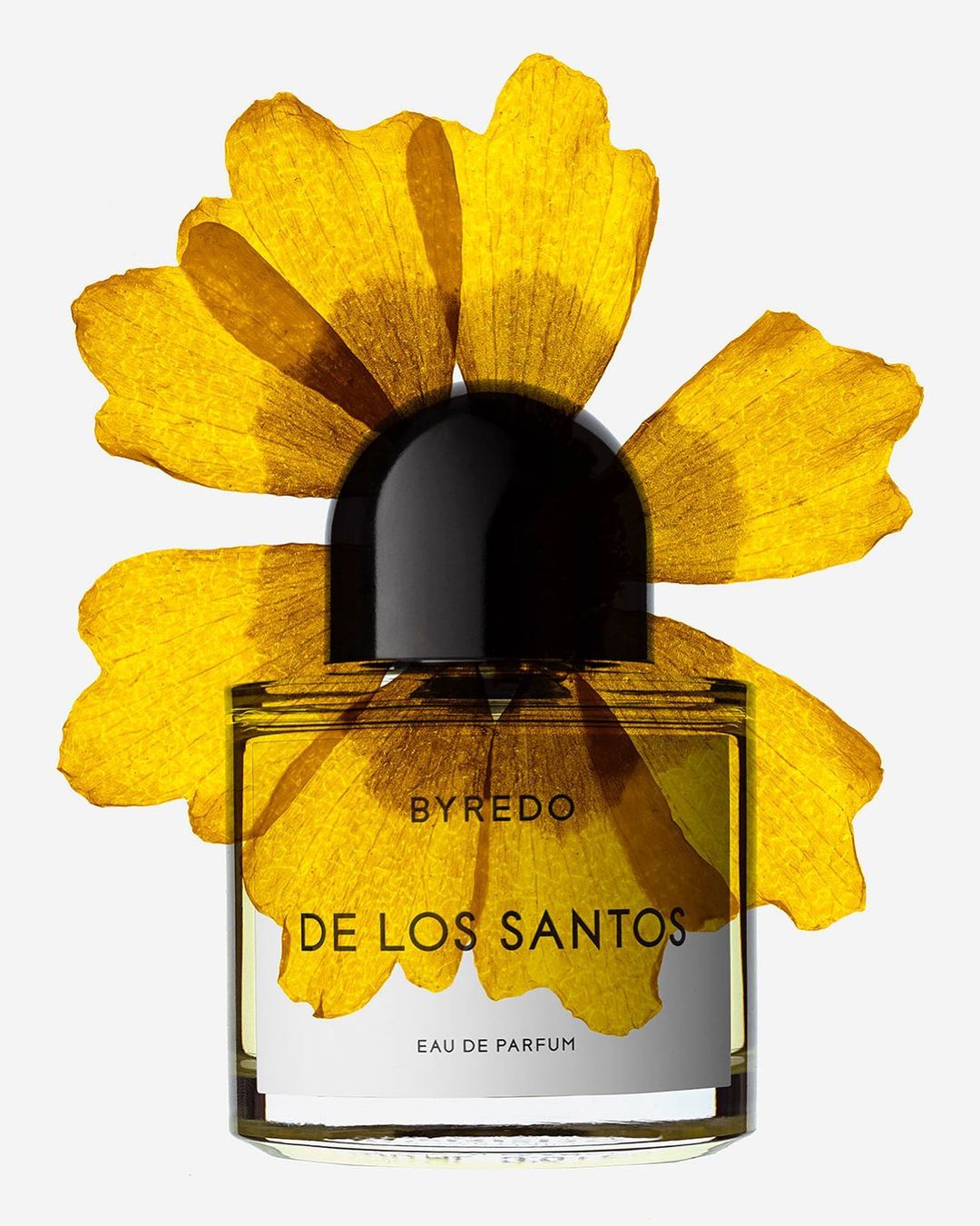 Byredo perfume bottle, DE LOS SANTOS, on white backdrop with dried yellow flower petals framing it, product shot, still life.