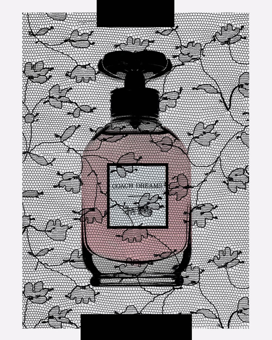Coach Dreams perfume bottle on a white background with black lace. The pink liquid of the perfume is visible through the glass.