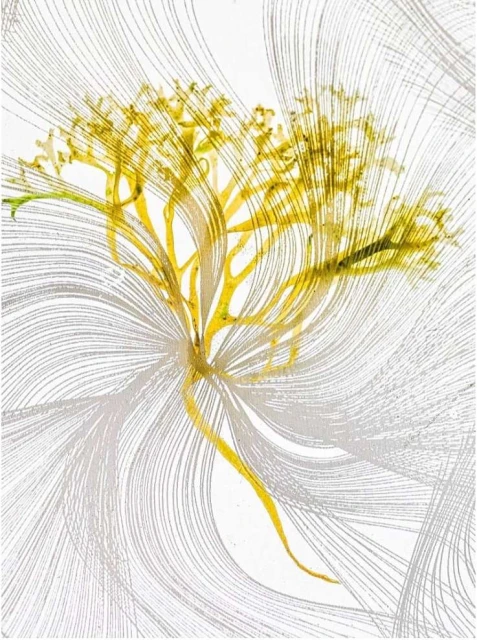 Abstract nature art featuring a flowing, radiating composition of gold-toned plant form with silver swirling lines on a white backdrop.