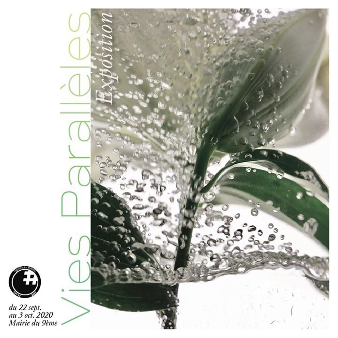 Close-up shot of a white flower underwater with bubbles, displayed as an exhibition poster. The poster also features green text on the side.