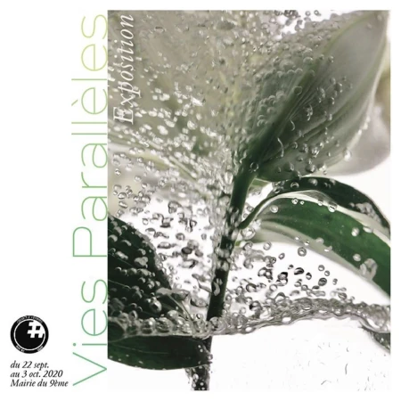 Close-up shot of a white flower underwater with bubbles, displayed as an exhibition poster. The poster also features green text on the side.